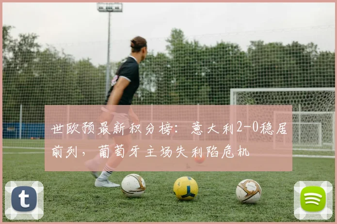 世欧预最新积分榜：意大利2-0稳居前列，葡萄牙主场失利陷危机